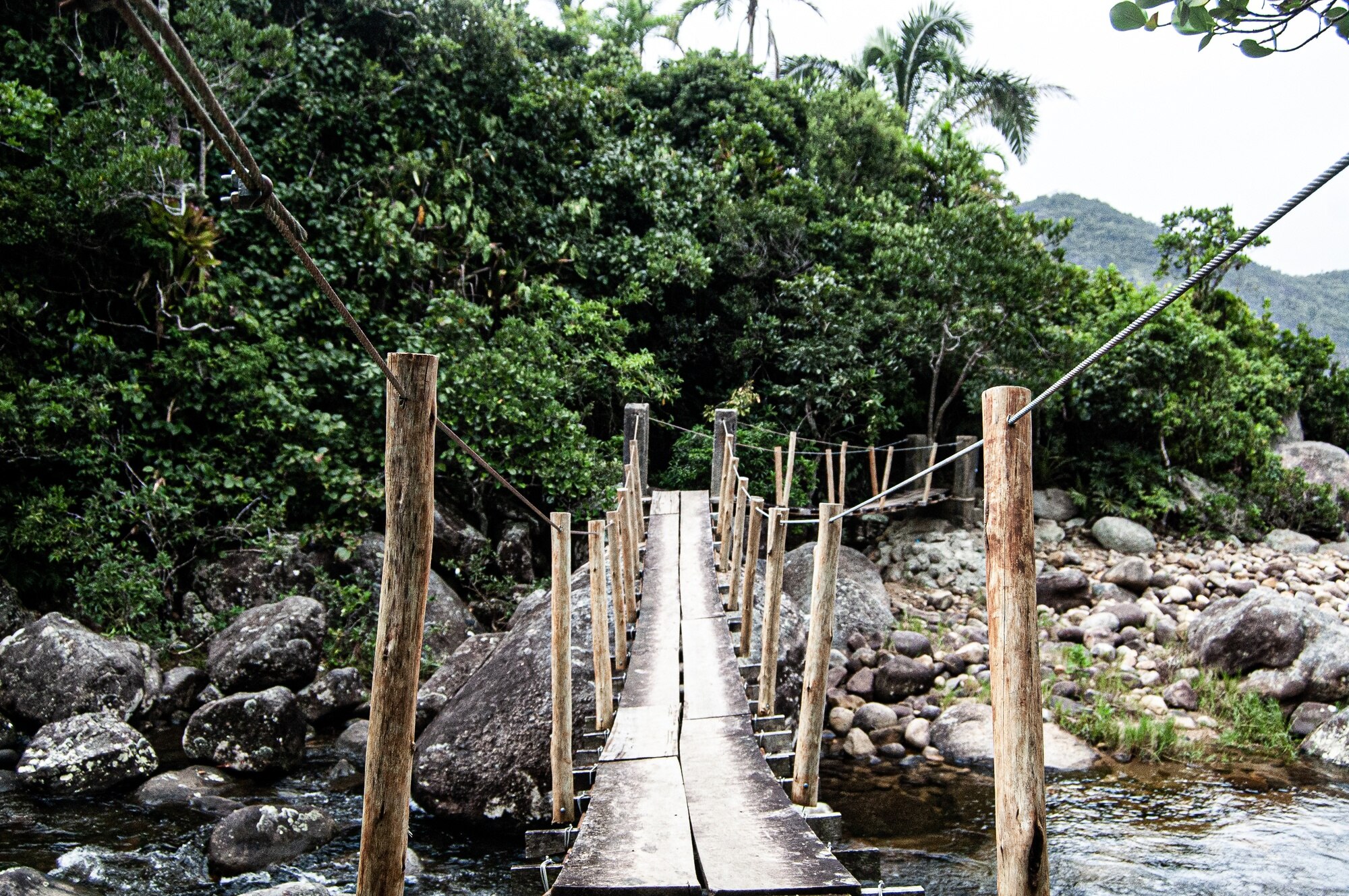 Parque Tayrona sendero