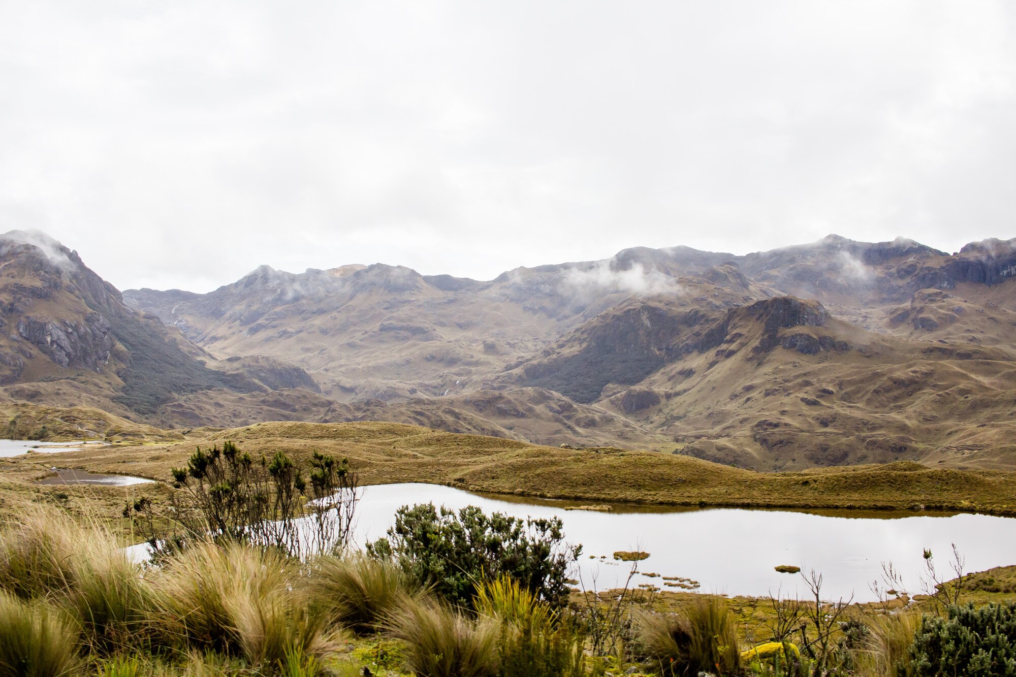 Paramo Chingaza Cundinamarca