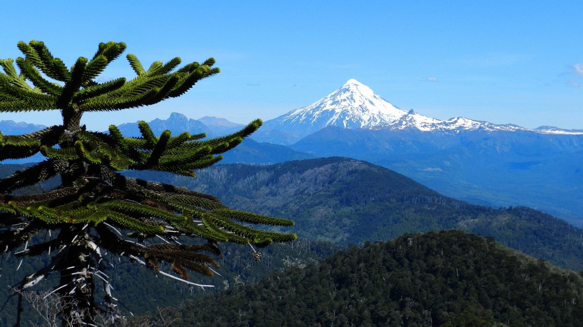 Nevado del Ruiz volcán Colombia