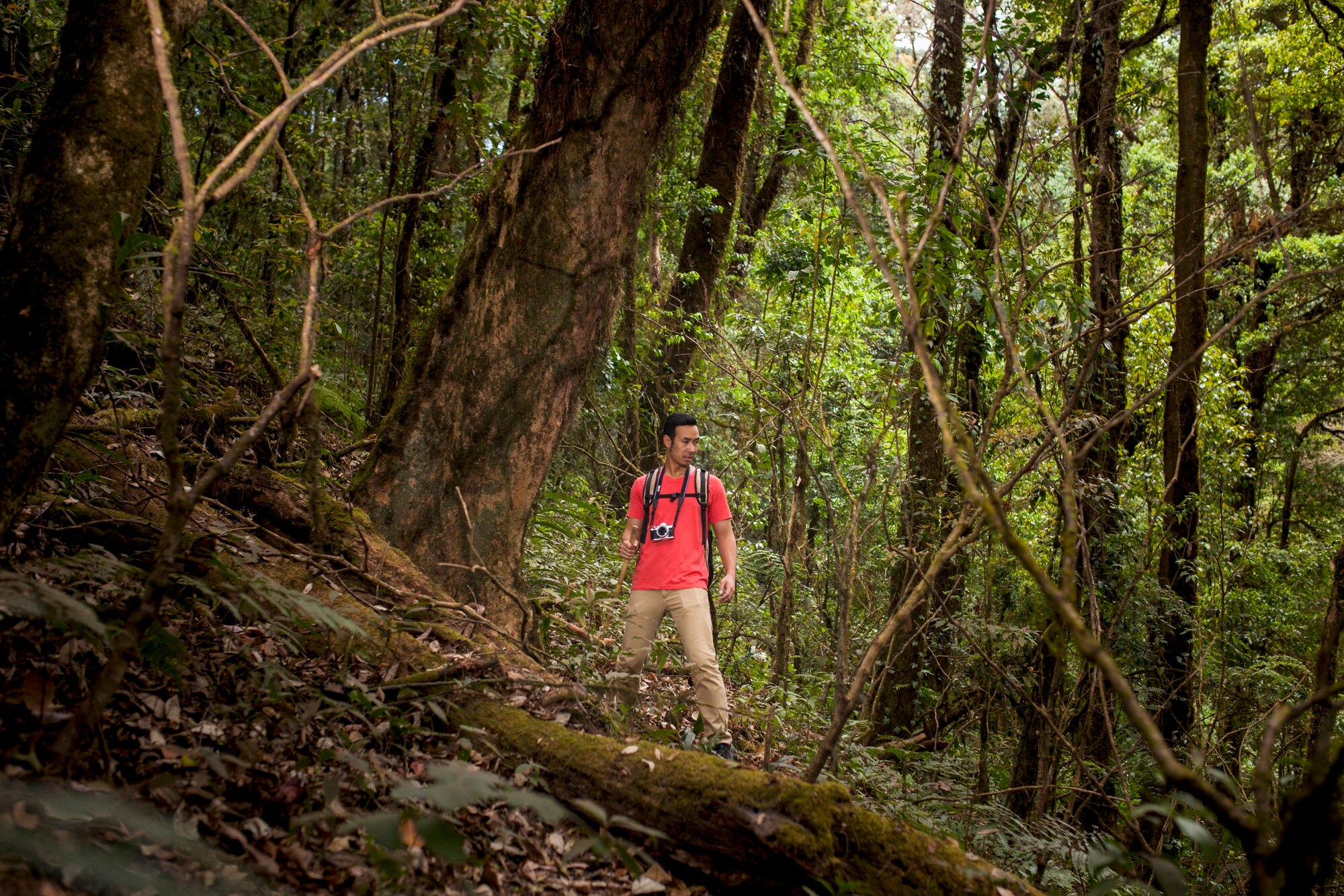 Bosque tropical Colombia senderismo