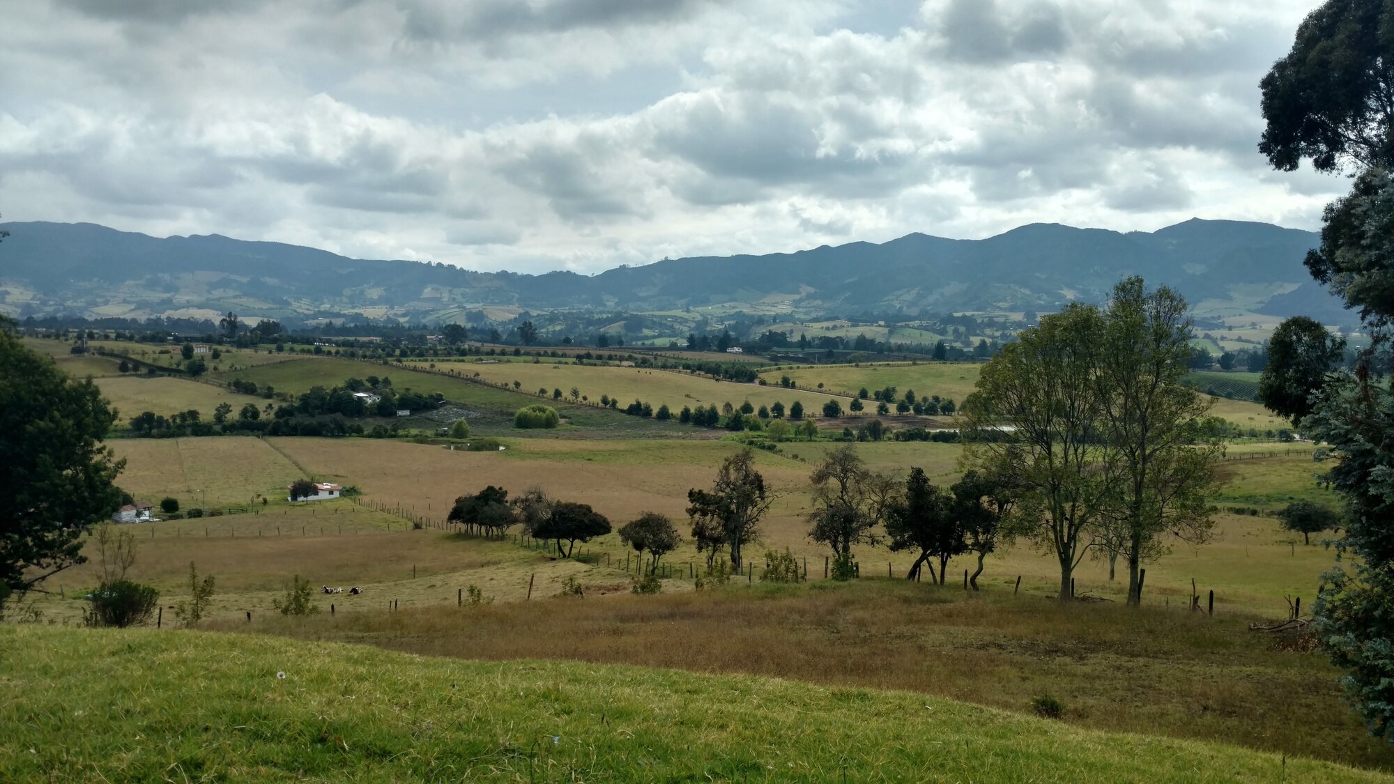 Llanos orientales Colombia